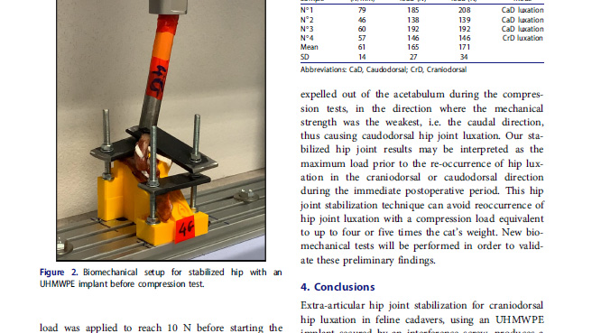 Biomechanical analysis of an extraarticular stabilization using a synthetic implant for craniodorsal hip luxation repair in a feline cadaver model: